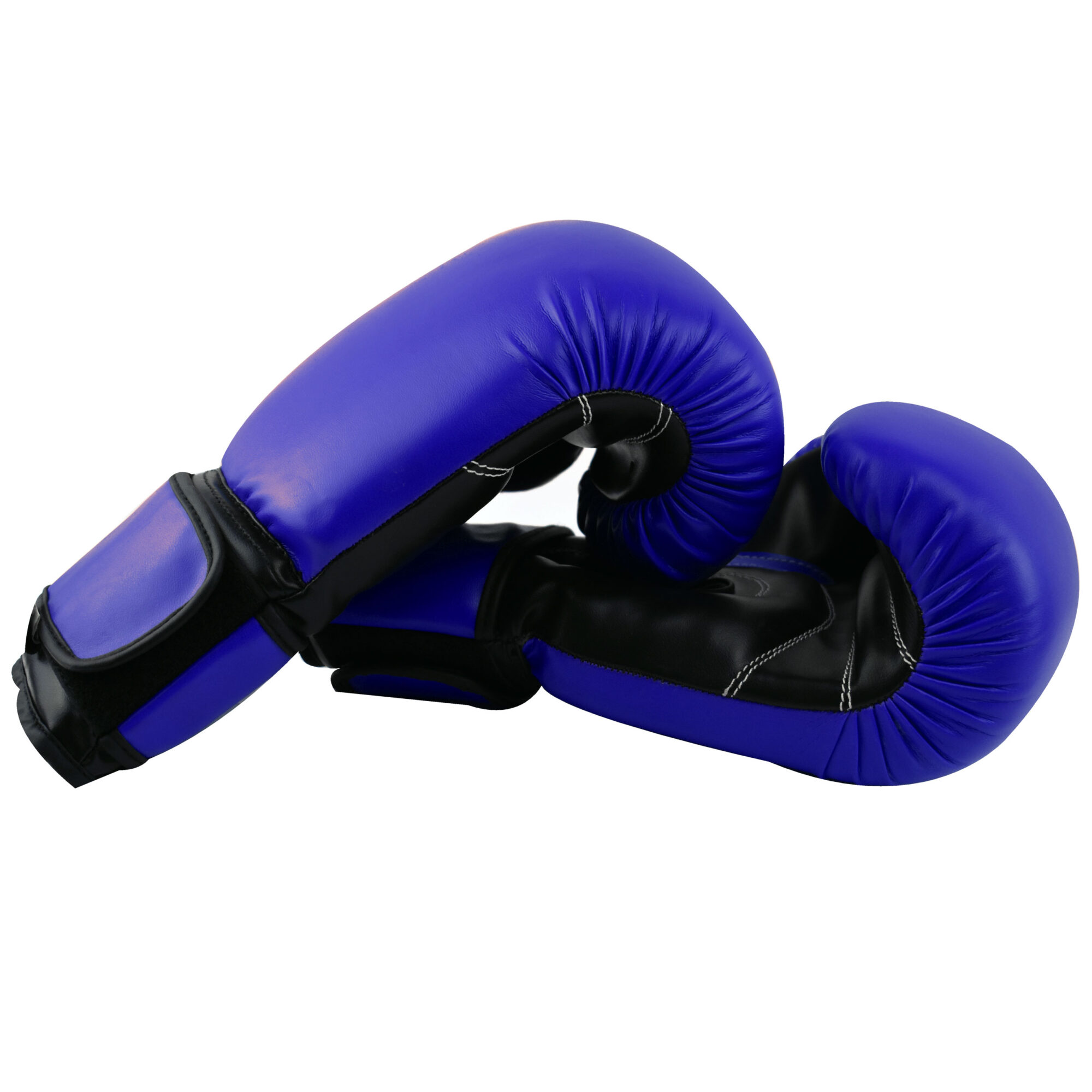 Essential Boxing Gloves Black / Blue