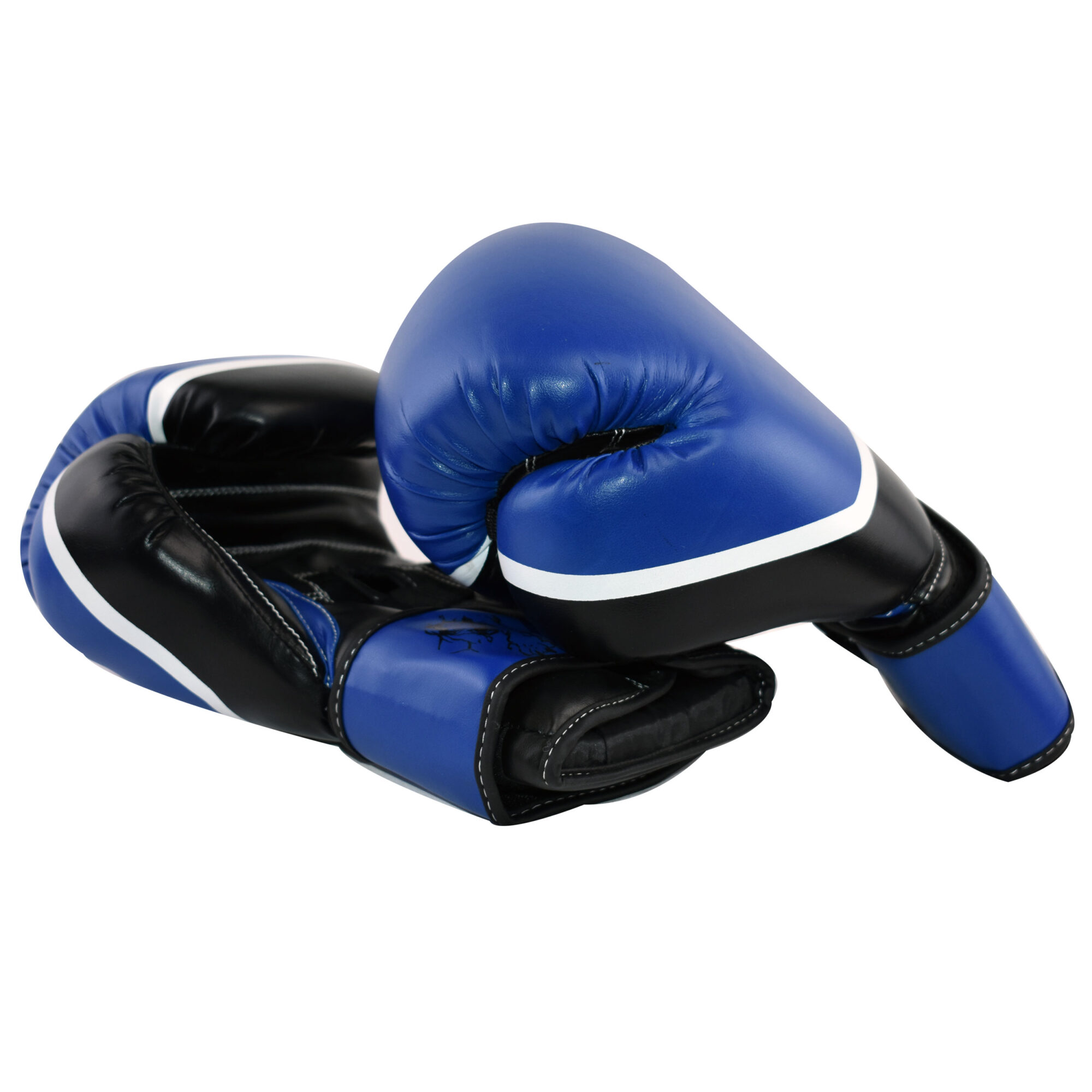 Pro Fight Gloves