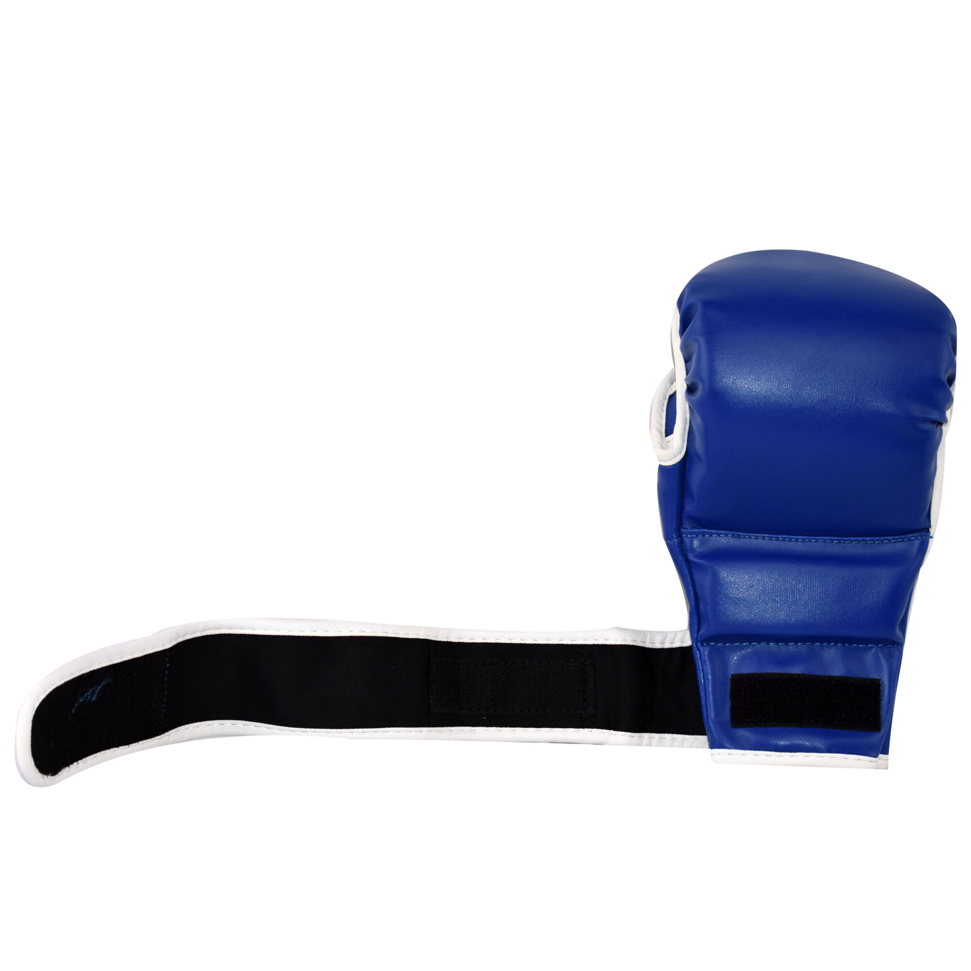 MMA Sparring Gloves Blue 2025